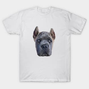 Cane Corso Puppy Dog Fawn Formentino T-Shirt